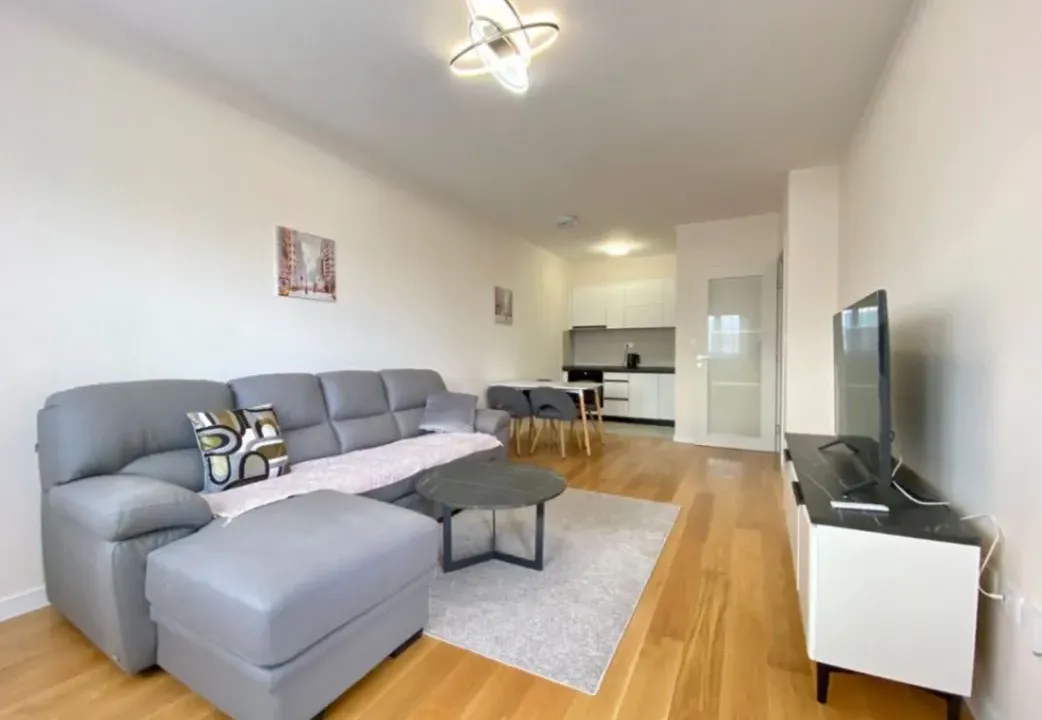 Izdavanje, jednosoban stan, 48m², Central Point, Podgorica