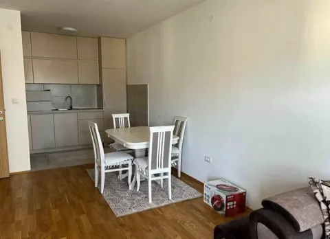 Rent, one bedroom apartment, 48m², Stari Aerodrom, Podgorica - image 2