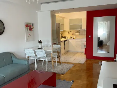 Izdavanje, jednosoban stan, 53m², Podgorica, Crna Gora - image 3