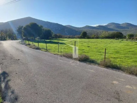 Prodaja, plac, 5844m², Podgorica, Crna Gora