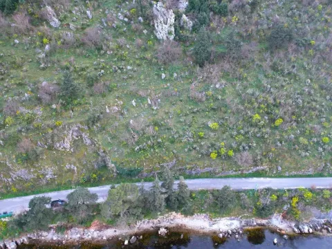 Prodaja, plac, 19000m², Stoliv, Kotor - image 10