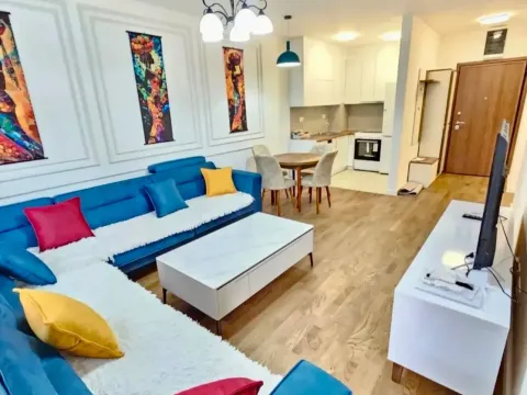 Izdavanje, jednosoban stan, 47m², Stari Aerodrom, Podgorica - image 1