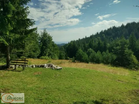  Land Lot for Sale, 69m2, Bajina Bašta