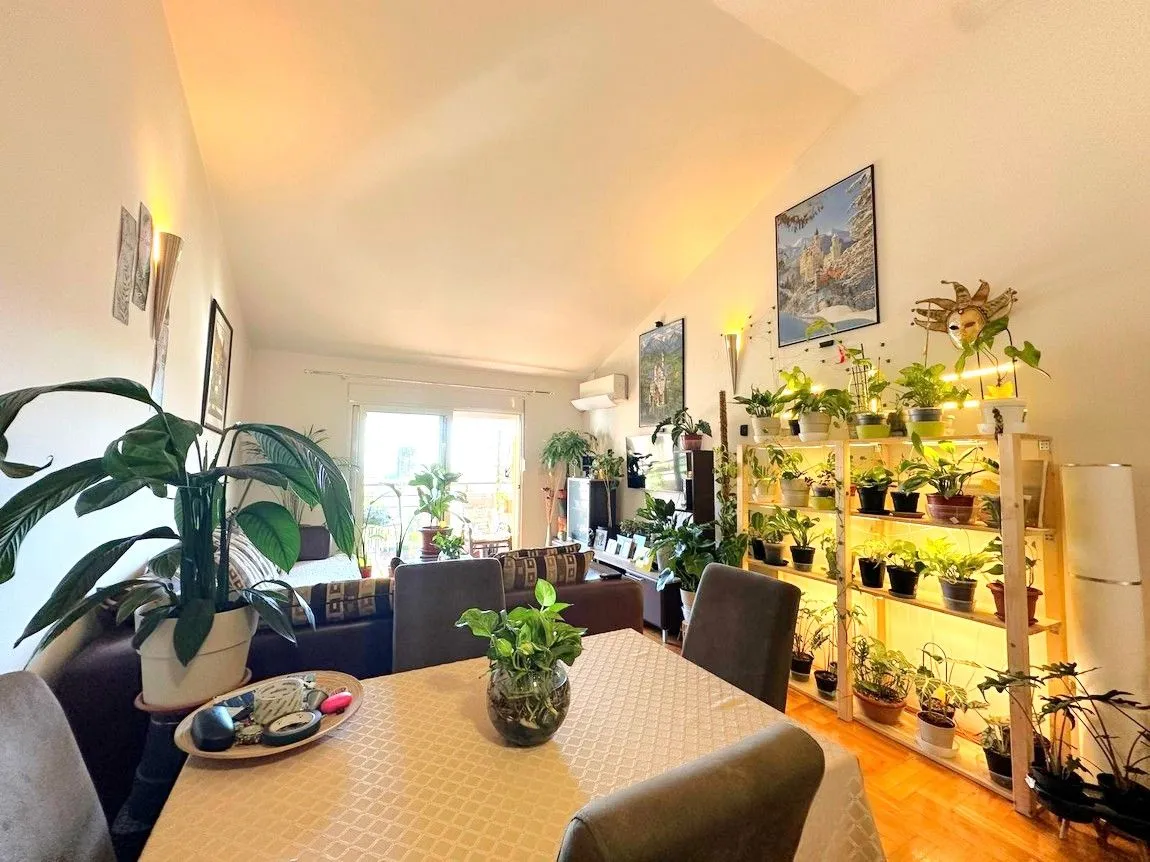 Sale, two bedroom apartment, 42m², Lazi, Budva
