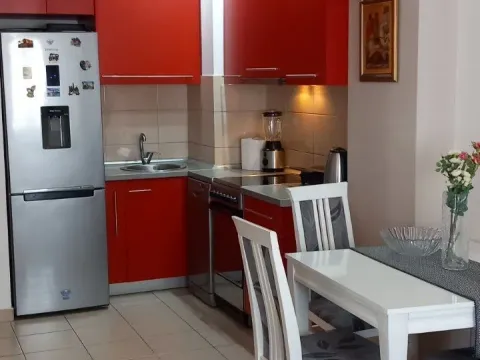 Izdavanje, jednosoban stan, 42m², Ljubović, Podgorica - image 3