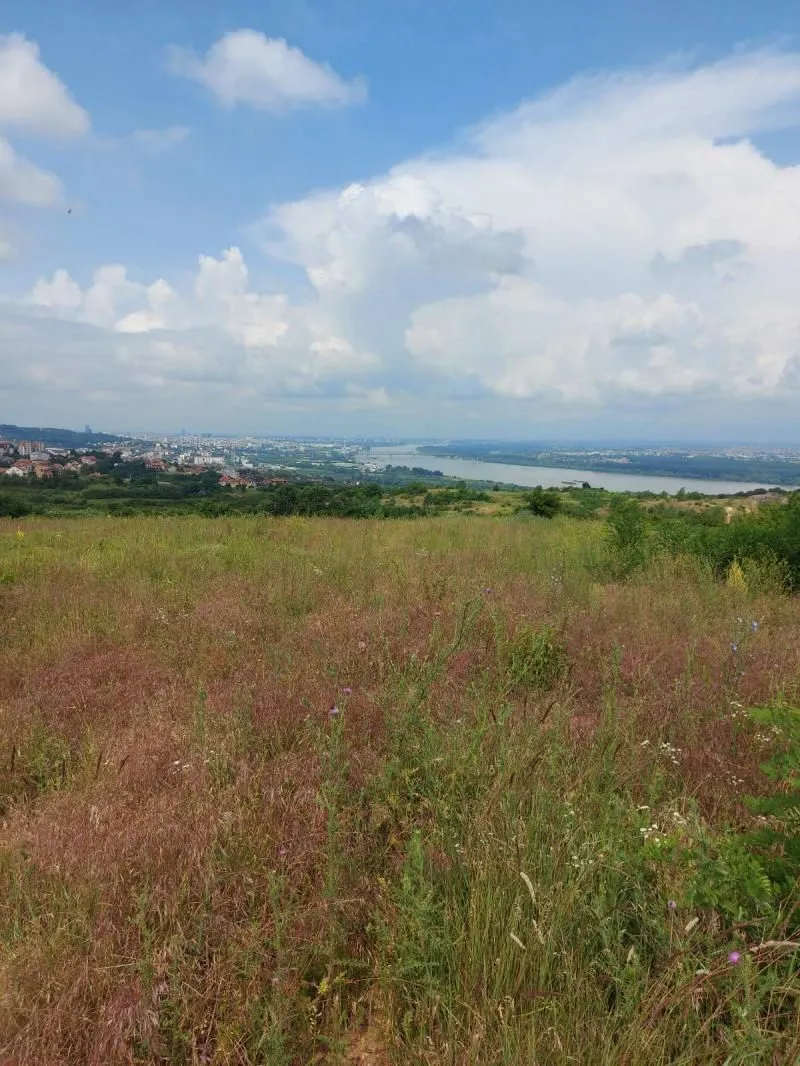 Prodaja, plac, 10000m², Višnjica, Palilula Sve Podlokacije