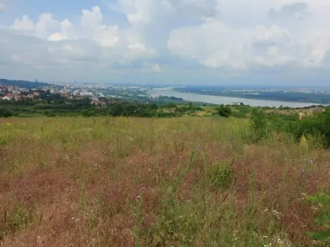 Prodaja, plac, 10000m², Višnjica, Palilula Sve Podlokacije - image 7