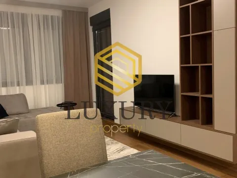 Rent, one bedroom apartment, 50m², Tološka šuma, Podgorica - image 4