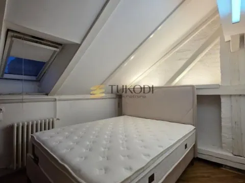 Rent, one bedroom apartment, 45m², Botanička Bašta, Palilula Sve Podlokacije - image 15