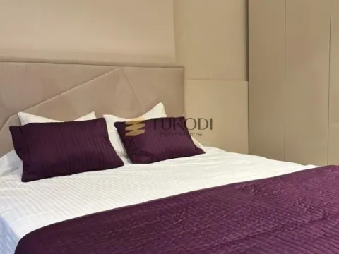 Izdavanje, dvosoban stan, 54m², Botanička Bašta, Palilula Sve Podlokacije - image 12