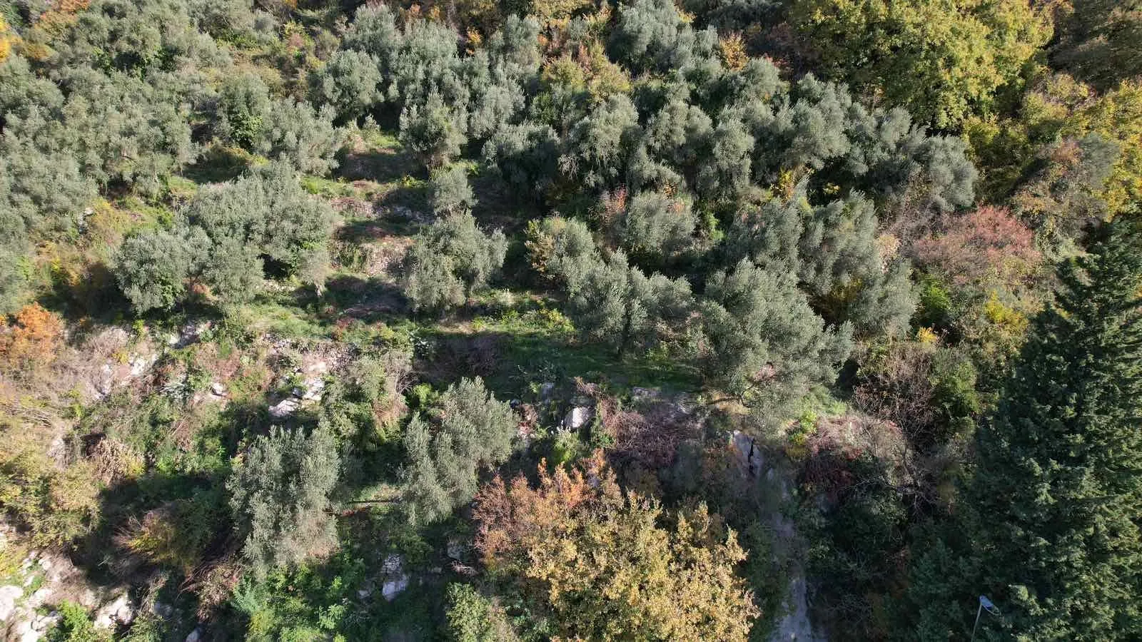 Prodaja, plac, 1320m², Petrovac, Budva