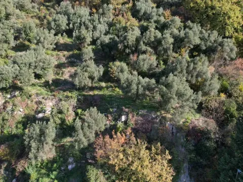 Prodaja, plac, 1320m², Petrovac, Budva - image 14