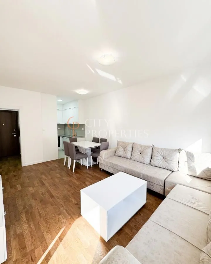Rent, apartment, 45m², Stari Aerodrom, Podgorica