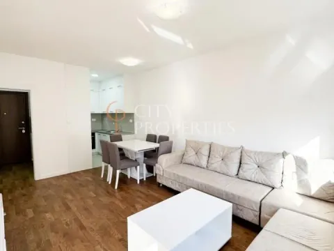 Izdavanje, stan, 45m², Stari Aerodrom, Podgorica - image 11