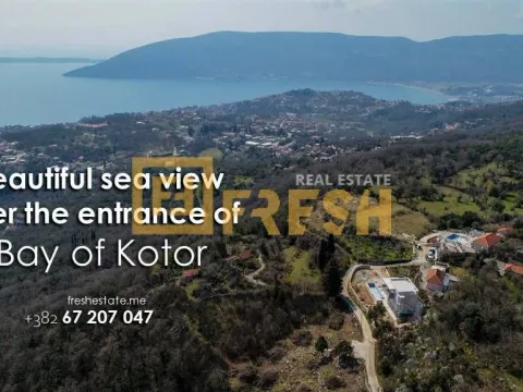 Prodaja, plac, 15000m², Herceg Novi, Crna Gora - image 5