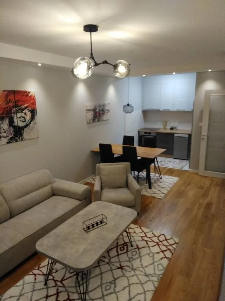 Izdavanje, jednosoban stan, 49m², Central Point, Podgorica