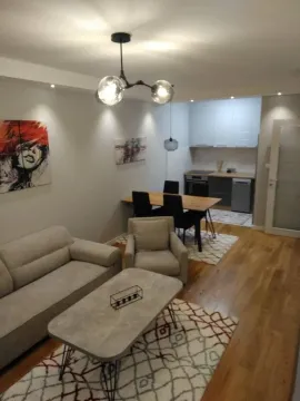 Izdavanje, jednosoban stan, 49m², Central Point, Podgorica - image 7