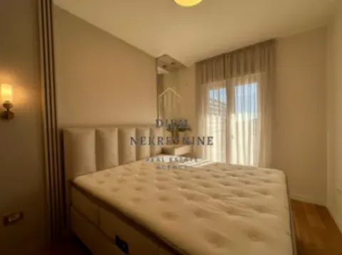 Izdavanje, jednosoban stan, 47m², Central Point, Podgorica - image 7