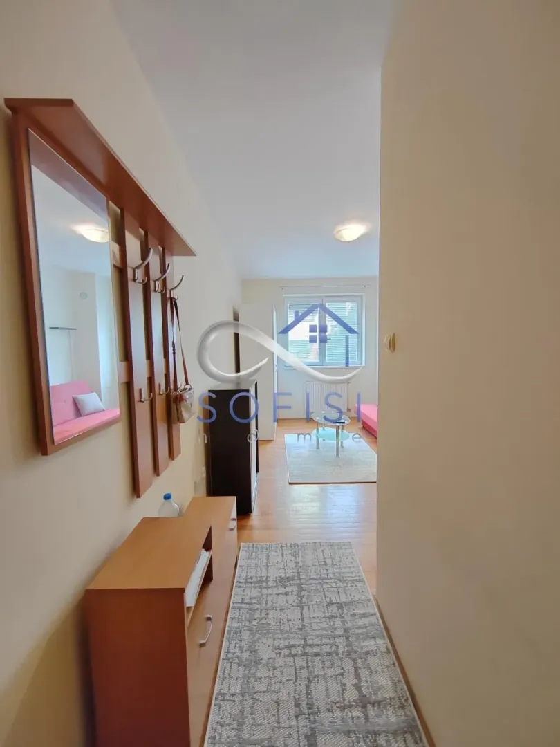 Izdavanje, dvosoban stan, 32m², Socijalno, Novi Sad Sve Podlokacije