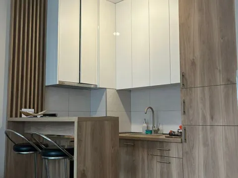 Izdavanje, garsonjera, 30m², Zagorič, Podgorica - image 9