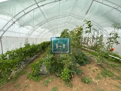 Sale, house, 120m², Donje Štiplje, Jagodina - image 19