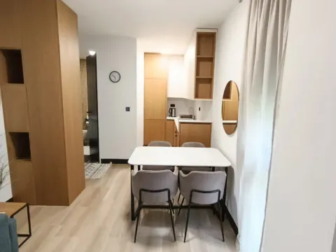 Rent, one bedroom apartment, 45m², Vezirov Most, Podgorica - image 2
