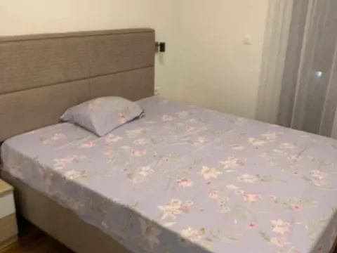 Izdavanje, jednosoban stan, 47m², Stari Aerodrom, Podgorica - image 3