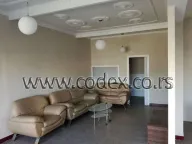 Izdavanje, poslovni prostor, 120m², Krnjaca, Palilula Sve Podlokacije - image 1