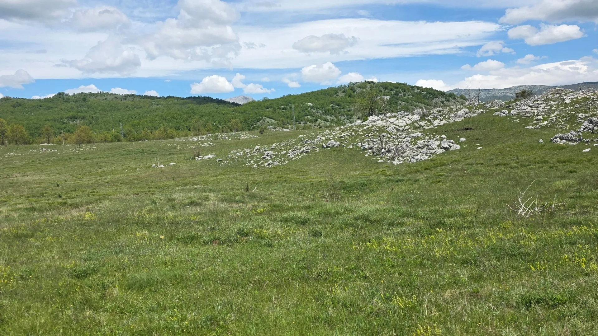 Prodaja, plac, 13000m², Donja Brezna, Plužine