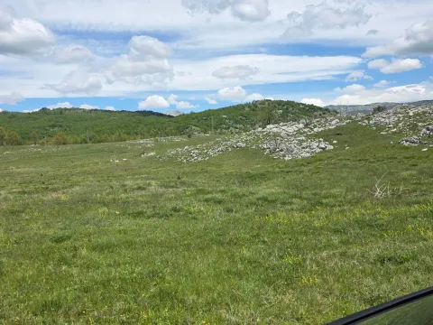 Prodaja, plac, 1500m², Donja Brezna, Plužine - image 2