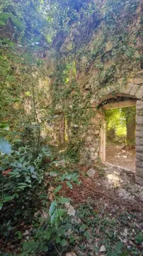 Ruševina kamene kuće obrasla u rastinje i bršljan. - image 4