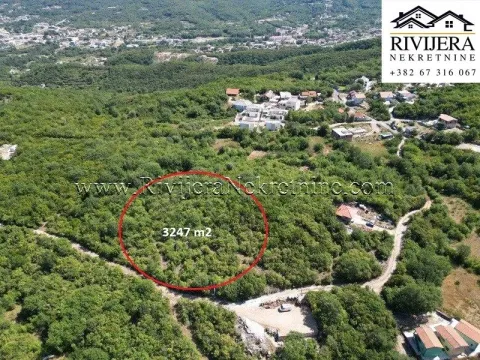 Prodaja, plac, 3247m², Radanovići, Kotor - image 6