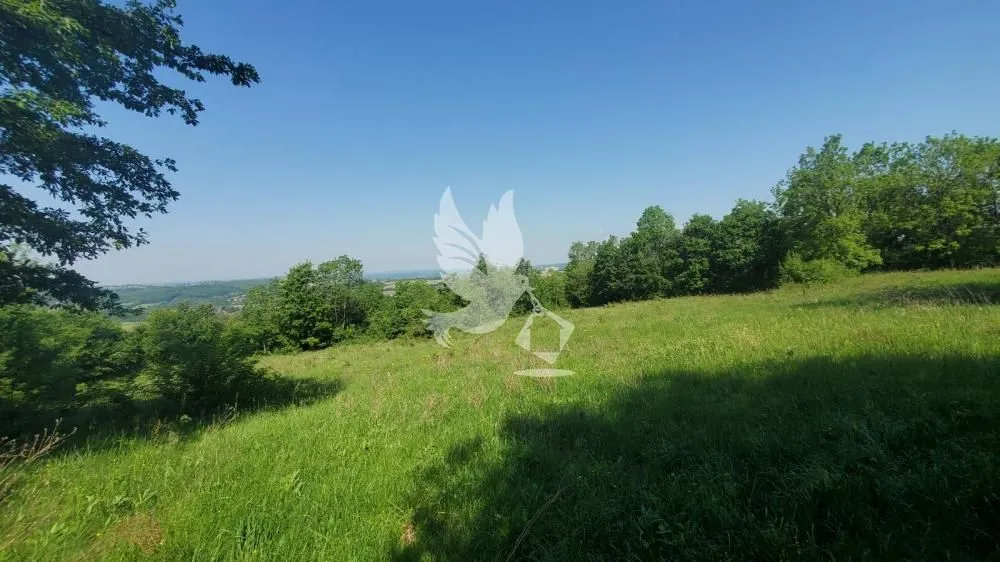 Prodaja, plac, 23000m², Mladenovac, Beograd