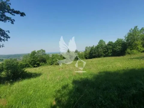 Prodaja, plac, 23000m², Mladenovac, Beograd - image 8