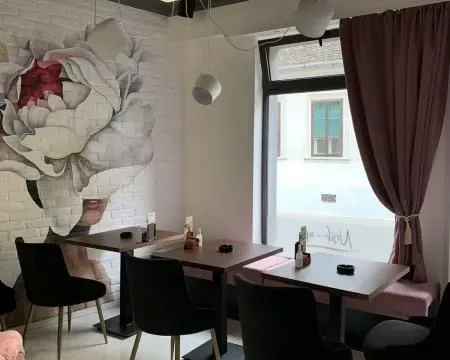 Prodaja, ugostiteljski objekat, 226m², Sremski Karlovci, Novi Sad - image 4