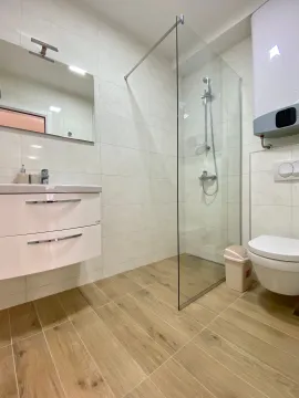 Modern bathroom with a walk-in shower, vanity sink, and toilet. - image 11