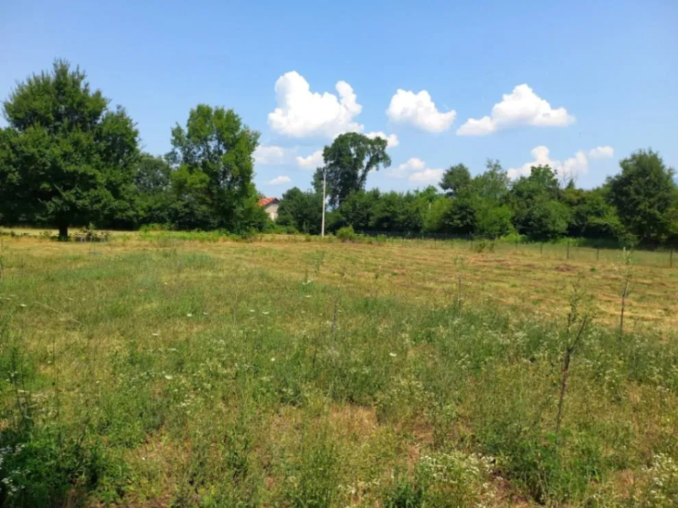 Prodaja, plac, 1550m², Ćurilac, Danilovgrad