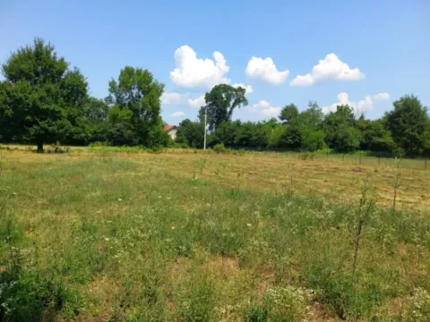 Prodaja, plac, 1550m², Ćurilac, Danilovgrad - image 9