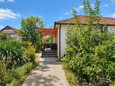 Pogled na dvorište i ulaz u kuću sa zelenilom. - image 6