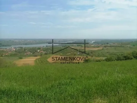 Sale, land lot, 4963m², Čerević, Beočin - image 2