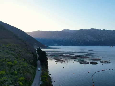 Prodaja, plac, 19000m², Stoliv, Kotor - image 3