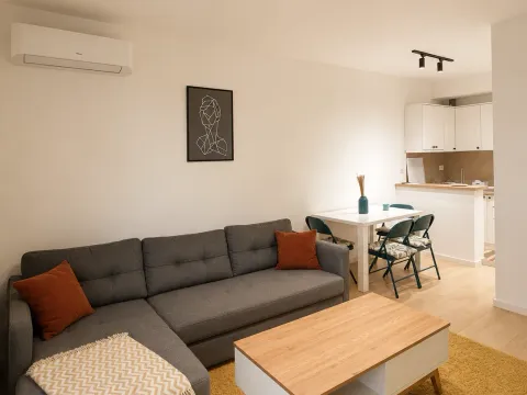Rent, one bedroom apartment, 45m², Nova Dalmatinska, Podgorica - image 1