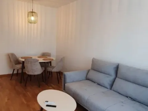Rent, one bedroom apartment, 41m², Zabjelo, Podgorica - image 8