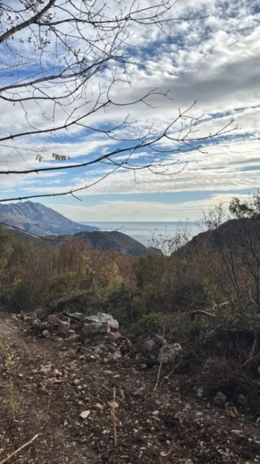 Prodaja, plac, 2000m², Markovići, Budva