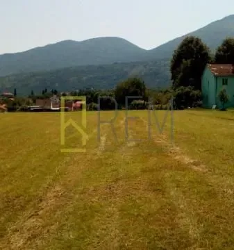 Sale, land lot, 3900m², Glavica, Danilovgrad - image 4