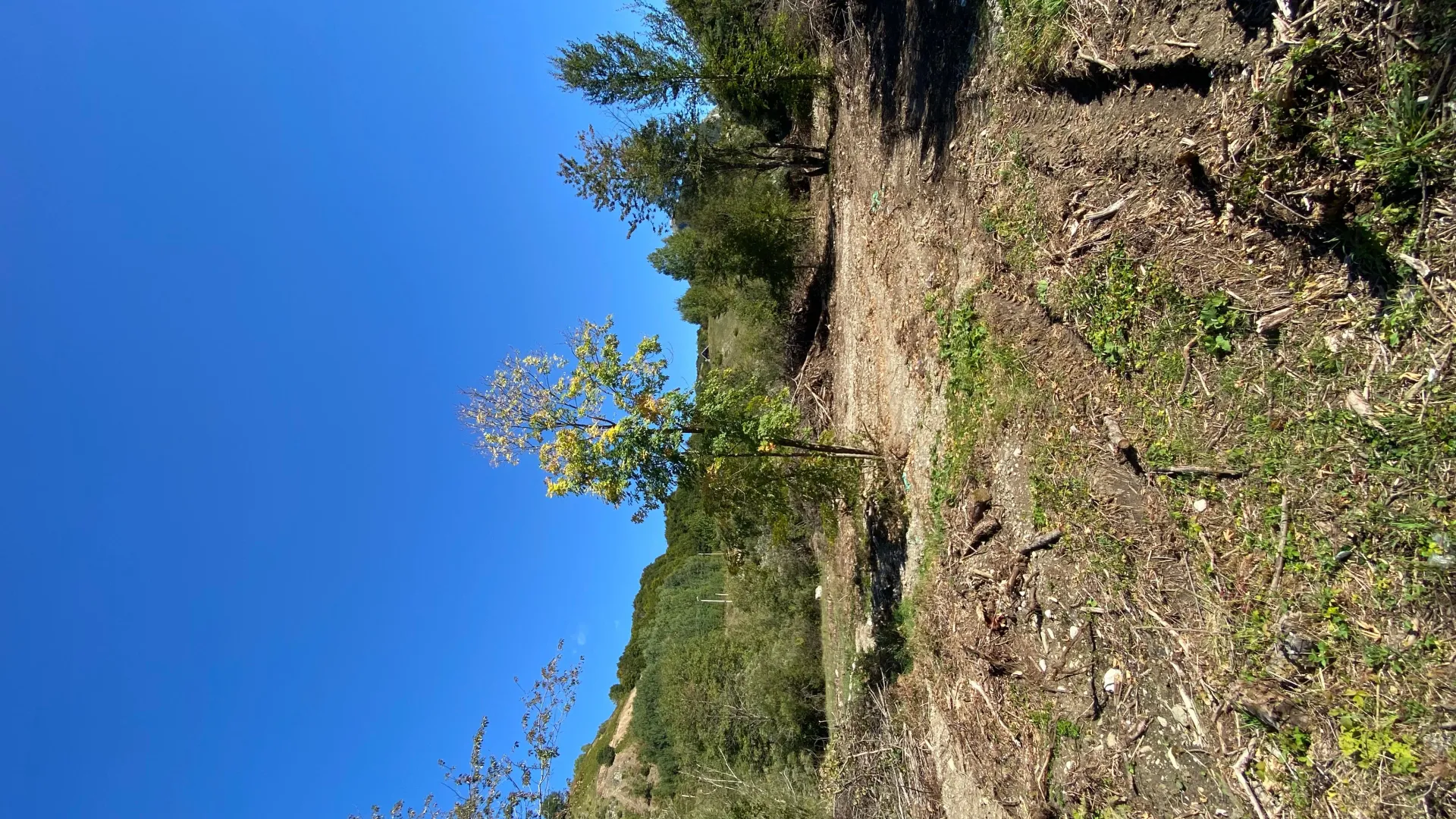 Prodaja, plac, 2500m², Veruša, Podgorica