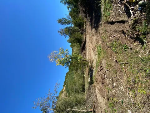 Prodaja, plac, 2500m², Veruša, Podgorica - image 5