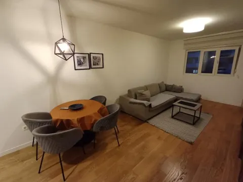 Izdavanje, jednosoban stan, 49m², Central Point, Podgorica - image 1