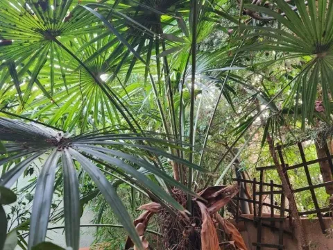 Sale, house, 198m², Šušanj, Bar - image 5