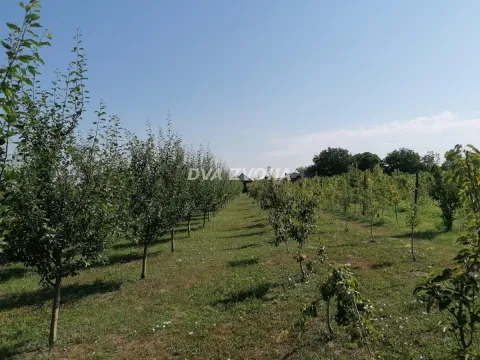 Sale, house, 178m², Beška, Inđija - image 15